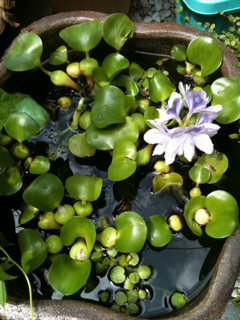 image-20100704142559.png