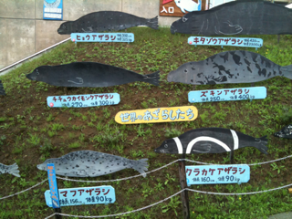 image-20100730071047.png