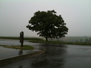 image-20100807152428.png