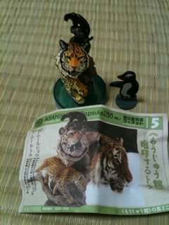 image-20100807232827.png